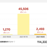 【2年間で10万ポイントの実績公開】楽天カードをフル活用すれば誰でもポイントは貯まる