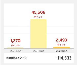 【2年間で10万ポイントの実績公開】楽天カードをフル活用すれば誰でもポイントは貯まる